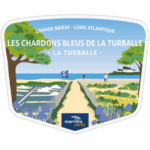 Camping les chardons bleus